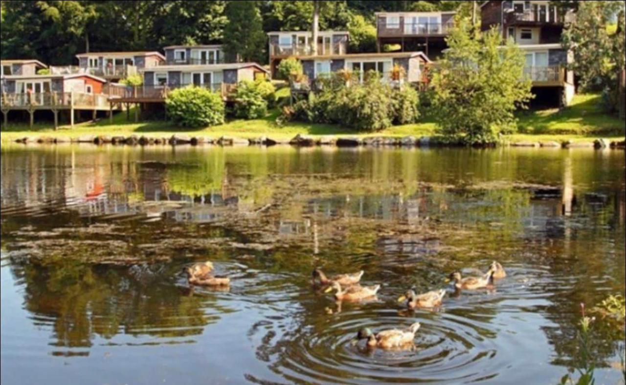 18 River View Chalet-Glan Gwna Holiday Park Caernarfon Zewnętrze zdjęcie